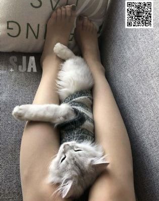 国产综合久久精品_高清完整在线观看